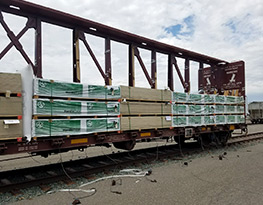 Advanced Logistics and Distribution Systems - Railcar Transloading